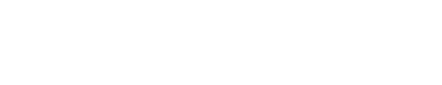 Revel IT